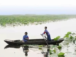 洪湖天气，四季流转里的水乡记忆