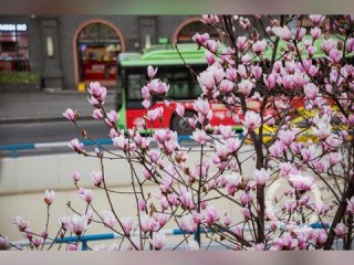 新疆旅游攻略必玩的景点（新疆旅游攻略必玩的景点线路图）