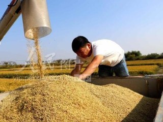 高淳天气（高淳天气40天准确）
