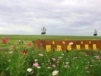 鄂尔多斯天气预报，草原气候的四季变奏与生活指南