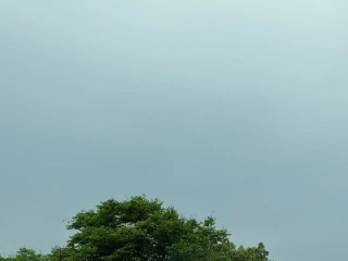杭州天气预报天气（天气预报杭卅天气）