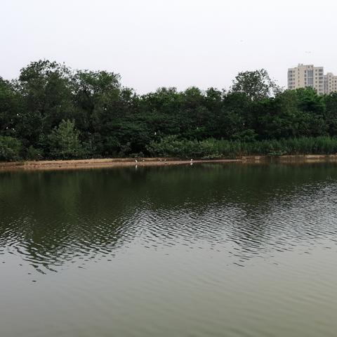涟水天气预报，带你感知四季的温度与诗意