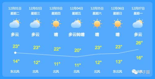 WELCOME登录网址-武汉今日天气,江城的雨雾与人间烟火 WELCOME登录网址-武汉今日天气,江城的雨雾与人间烟火
