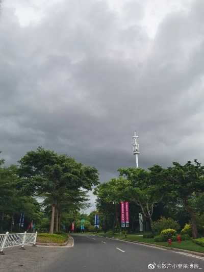 儋州天气，热而不燥，雨亦有情
