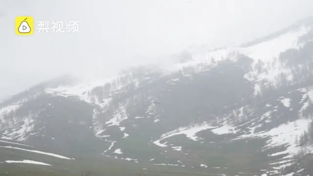 新疆天气，一场四季交响的极致体验