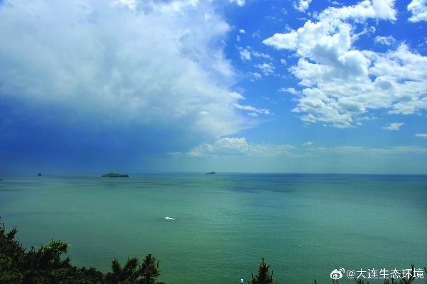 大连天气预报，山海之间的气候密码与生活指南