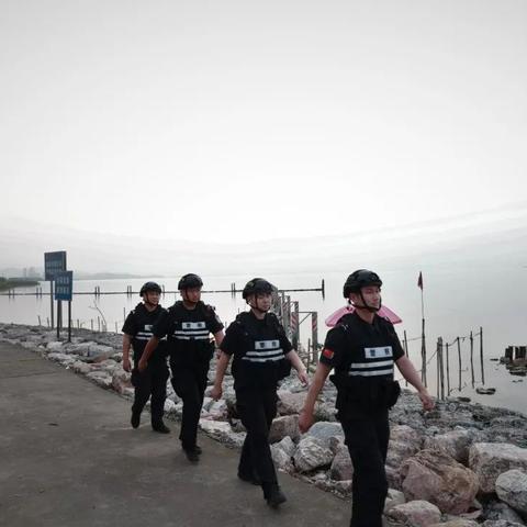 一张图的守望，浙江台风网实时路径图如何守护千万家