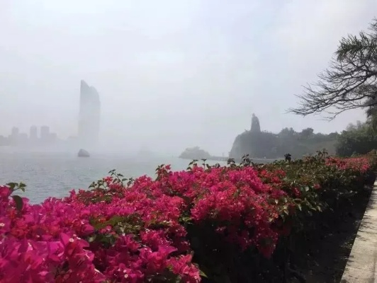 厦门的天气，一半温柔，一半任性
