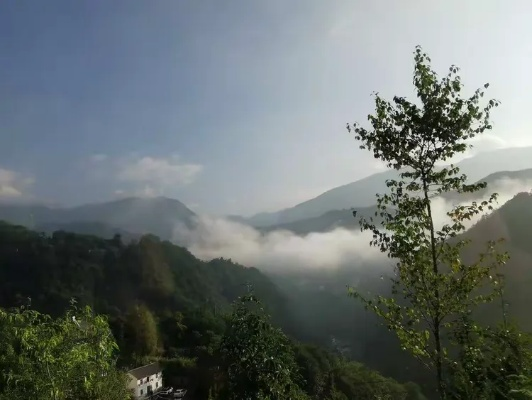 神农架天气，云雾里的变幻诗篇
