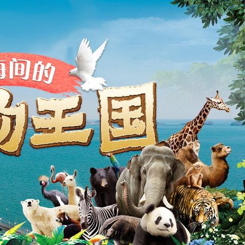 大连旅游必去景点,山海之间的浪漫之城,这些地方不容错过 大连旅游必去景点,山海之间的浪漫之城,这些地方不容错过