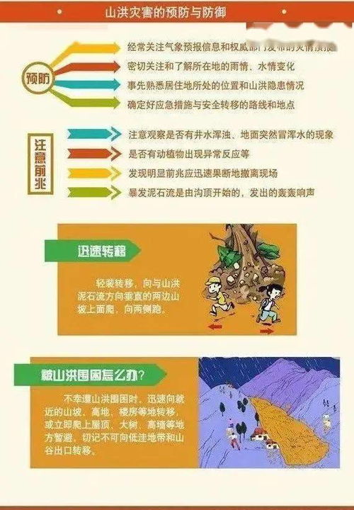 温州暴雨天气如何应对，实用指南与安全须知