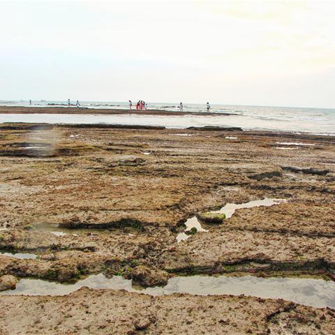 夏天去哪旅游最合适,逃离酷暑,寻找23℃的清凉夏天 夏天去哪旅游最合适,逃离酷暑,寻找23℃的清凉夏天