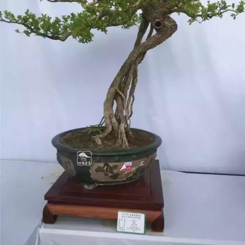 彩云天气，一朵云的馈赠，让天空不再是秘密